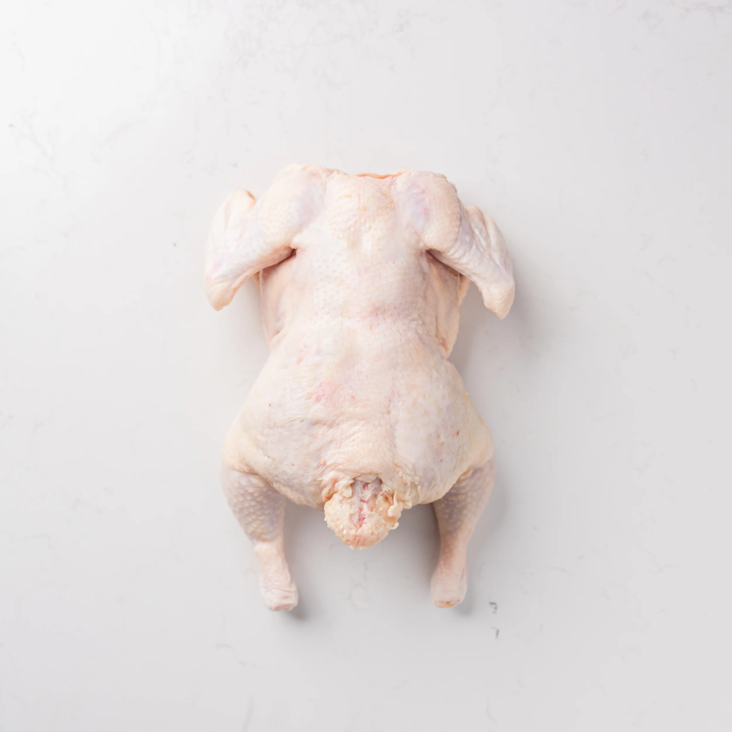 Halal Chicken Whole - Image 2