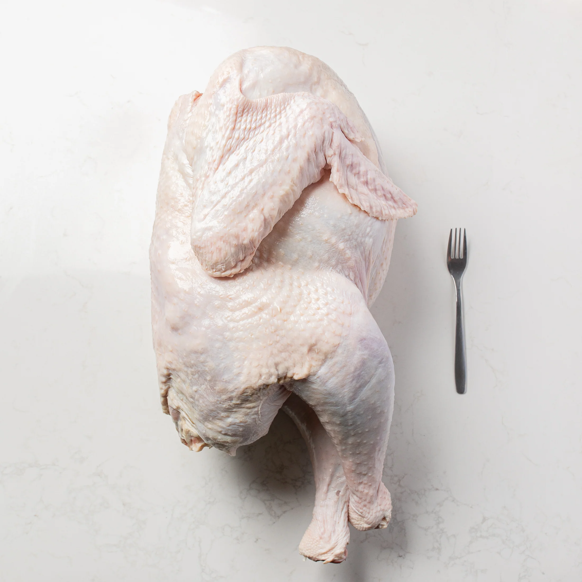 Organic Whole Turkey Frozen - Image 3