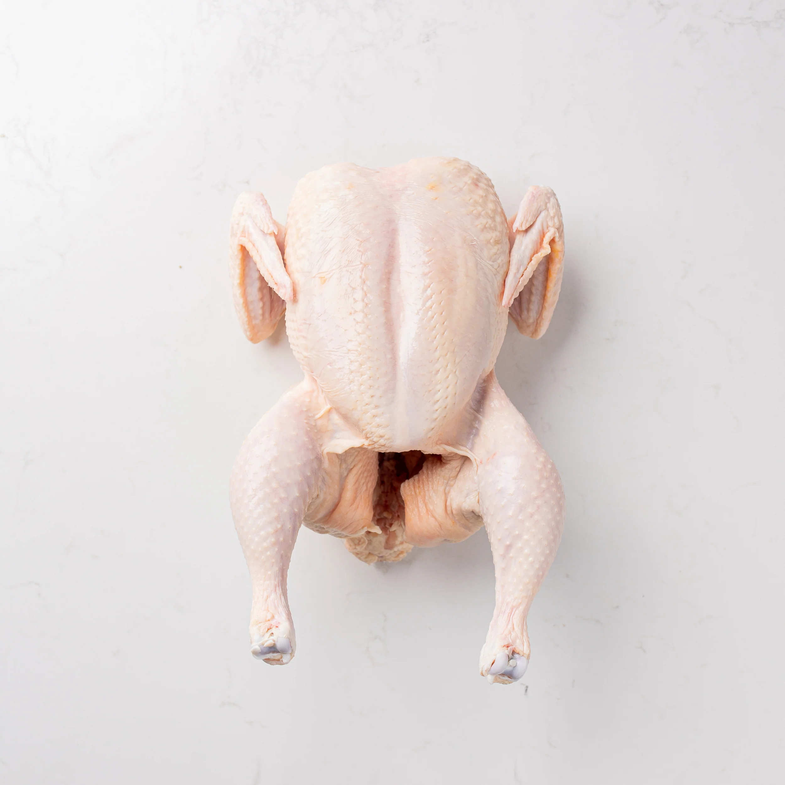 Whole Roaster Chicken - Image 2