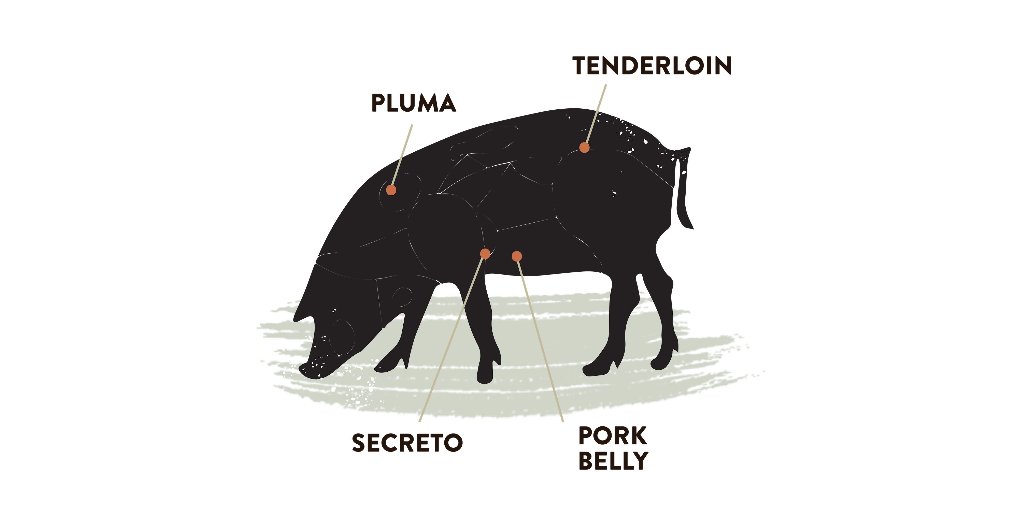 Spanish Iberico Pork - Tenderloin - Image 4